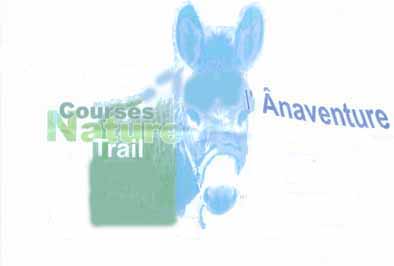 �naventure 2011